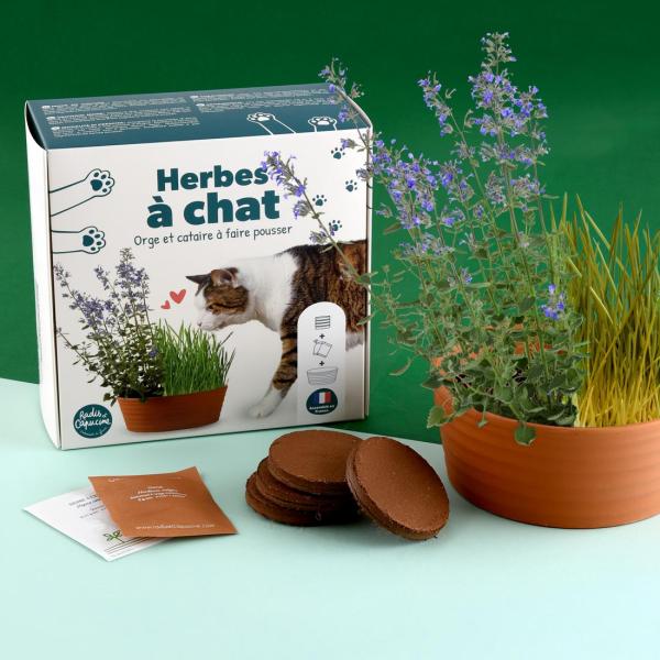 Radis et Capucine - Coffret Herbe à Chat - MEDIA_EN_SITUATION_1